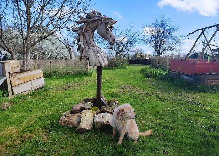 Couette-café La Valise A Cheval